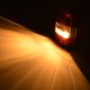 IPF Backup Lamp LED T16 500 Made in Japan Bulb, 6000K, Lumens, 303BL,