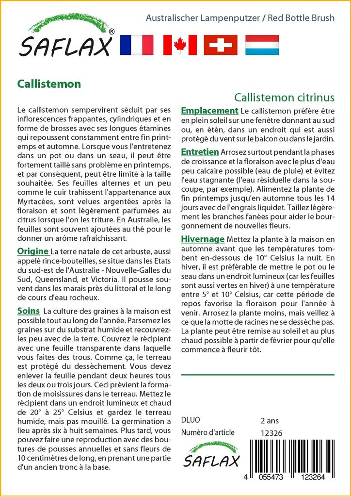 SAFLAX Red Bottle Brush - 400 Seeds - Callistemon Citrinus