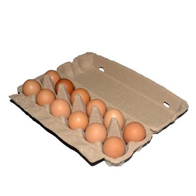 Eierkarton aus natürlichem Zellstoff: 12-teilige flache Deckelbox für Freilandeier