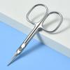 Stainless Steel Russian Dead Skin Scissors To Deal with Nail Art Pointed Scissors Beauty Scissors with Four Edges