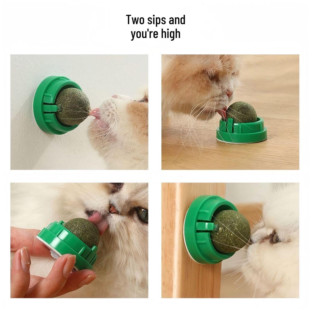 Catnip Ball Toy: Teeth-Cleaning, Bite-Resistant, Self-Play Rotating Teaser for Cats