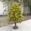 23cm Boutique Model Tree Wire Trunk Green Tree Model Train Railway Platform Layout Material Mountain Sand Table Scene Decoration