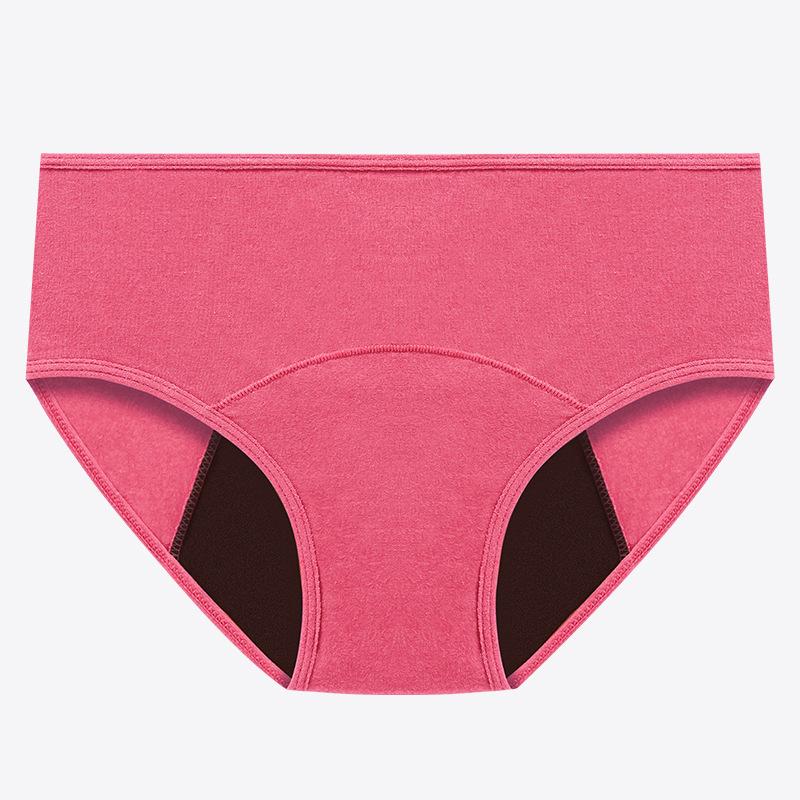 Leak Proof Menstrual Period Panties Women Underwear Physiological Waist Pants