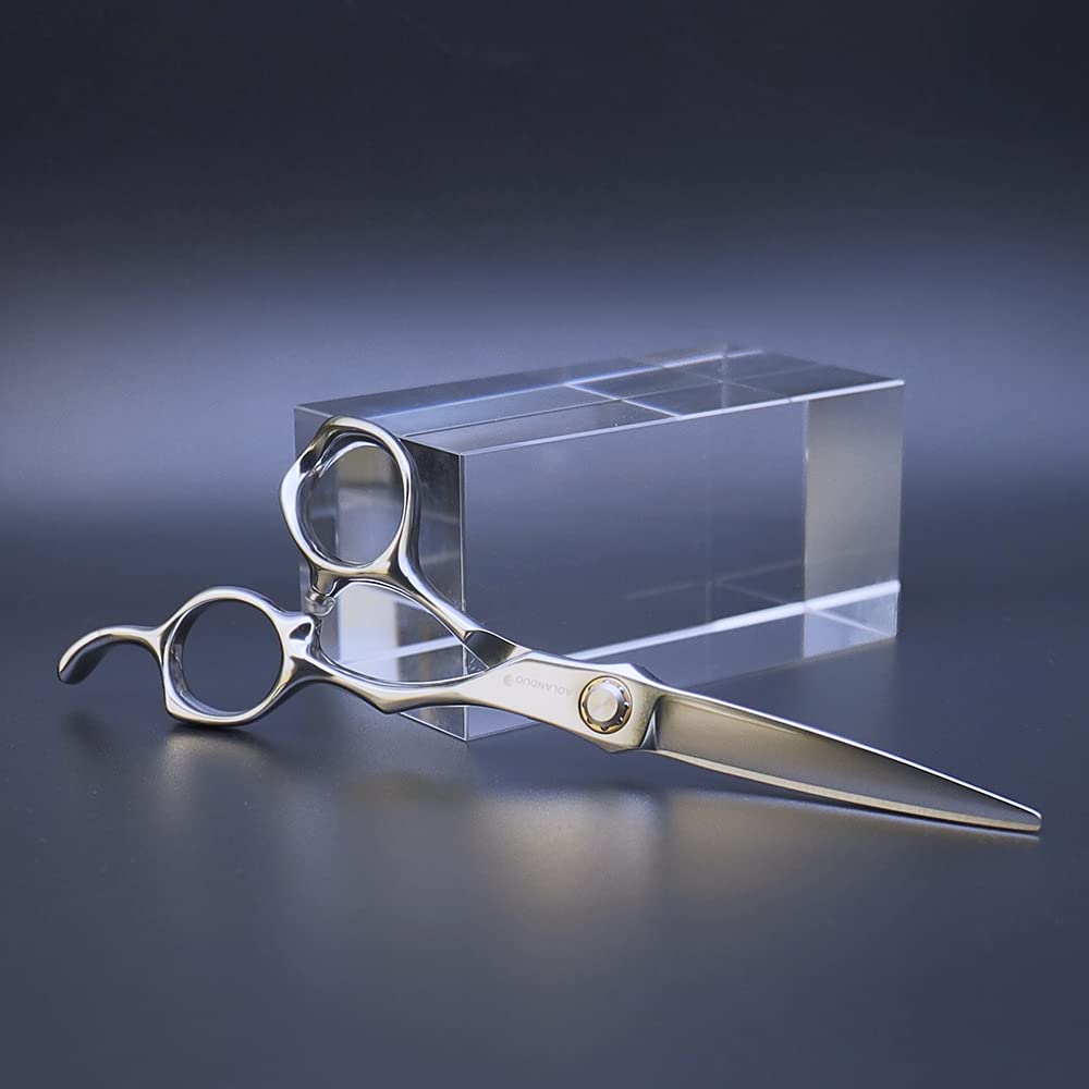 Scissors with Sharpness That Even Working Professionals Will Easy To Use for Beauty 440C Professional Scissors Brand Aolanduo, 6-inch Appreciate,