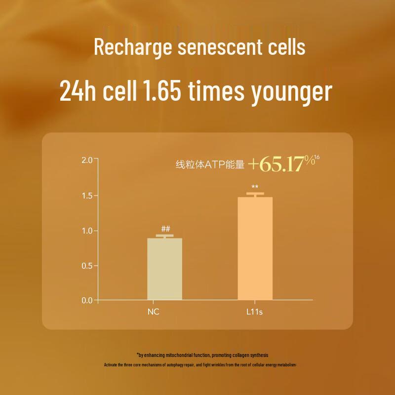 AFU 11-Seed Essence Oil & Fragrance Gift Set