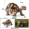 Ocean Crab Simulation Toy Set: Includes Hermit, Swimming, and Three-Spot Plastic Models