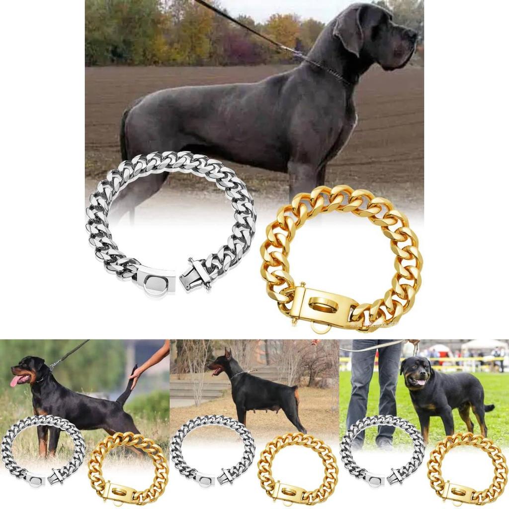 Bequemes 19mm Goldfarbenes Edelstahl Hundekettenhalsband Mit Stilvollem Karomuster