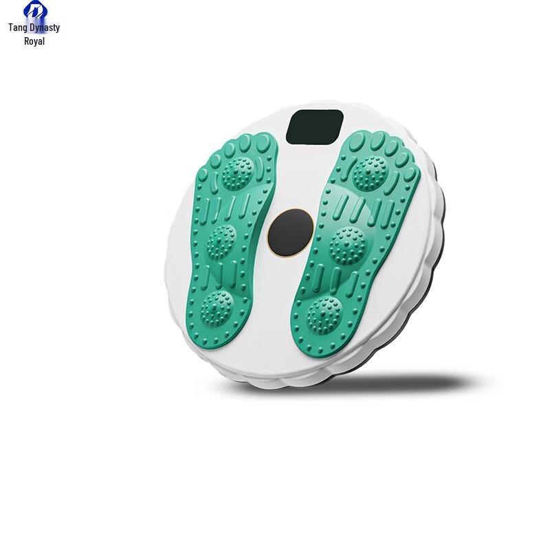 Datangyu Smart Counting Twist Waist Disc 3.0