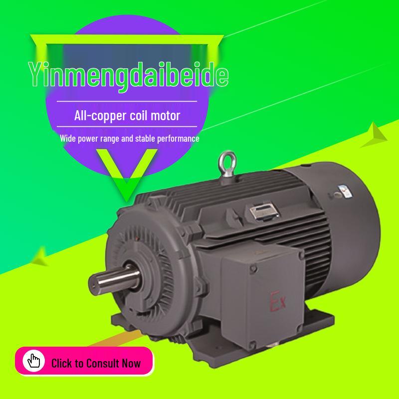 Yinmengda 1MT0 Series Dustproof & Explosion-proof Copper Coil 3-Phase Motor