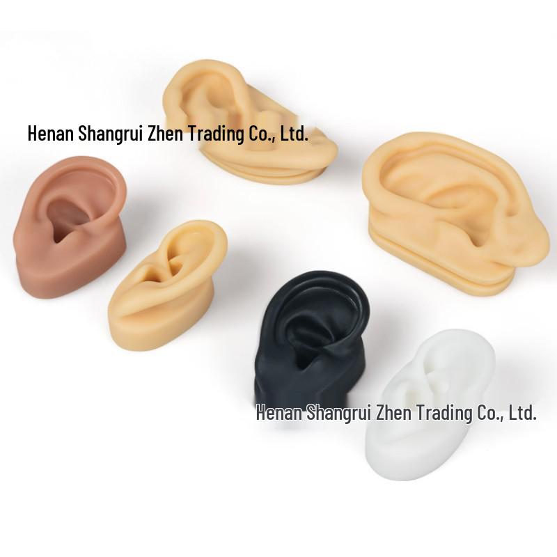 5D Ear Picking Silicone Model: Earphone Display, Acupoint, Jewelry & Hearing Aid Prop