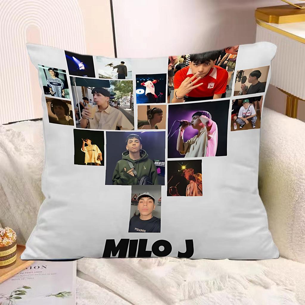 Rapper Pillow Covers Cartoon Sofa Decorative Home Doublesided Printing Short Plush Cute Cushion MMilo J Cover