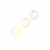 4 Holes Polished Freshwater River Shell Buttons Small Round Thin Edge Durable for Shirts Blouses Handmade Apparel Making