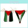 Durable Polyester Palestinian Flag Bunting Banner For Cross-border Orders Various Sizes