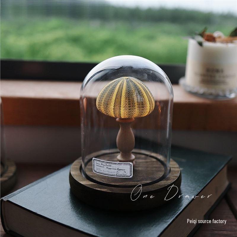 Handmade Ocean Island Retro Seashell & Conch Night Light for Mid-Autumn Festival