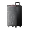 Newmine N520 12-inch Portable Outdoor Karaoke Trolley Speaker