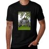 Tractor Massey Ferguson 1955 For You Leif Emil Bckunisex Tshirt Odor Resistant Short Sleeve Top