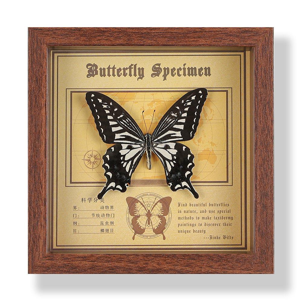 Real butterfly specimen photo frame, decorative painting, 3D ornament, handmade DIY, birthday gift, insect specimen