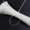 Hesdick White Nylon Self-Locking Cable Ties
