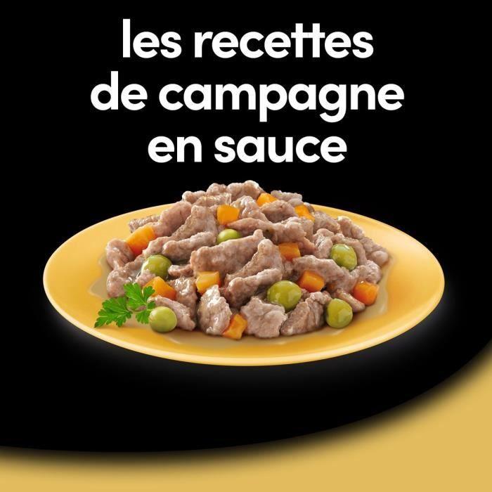 CESAR 24 Barquettes en sauce 4 variétés pour chien 150g (6x4)