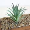 Mini Artificial Succulents Plants Realistic Fake Plants  Outdoor Indoor Decoration