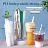 ZISIZ PLA Biodegradable Eco-Friendly Straw