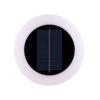 Dual-Use Solar Garden and Yard Lights for Pathways and Landscapes