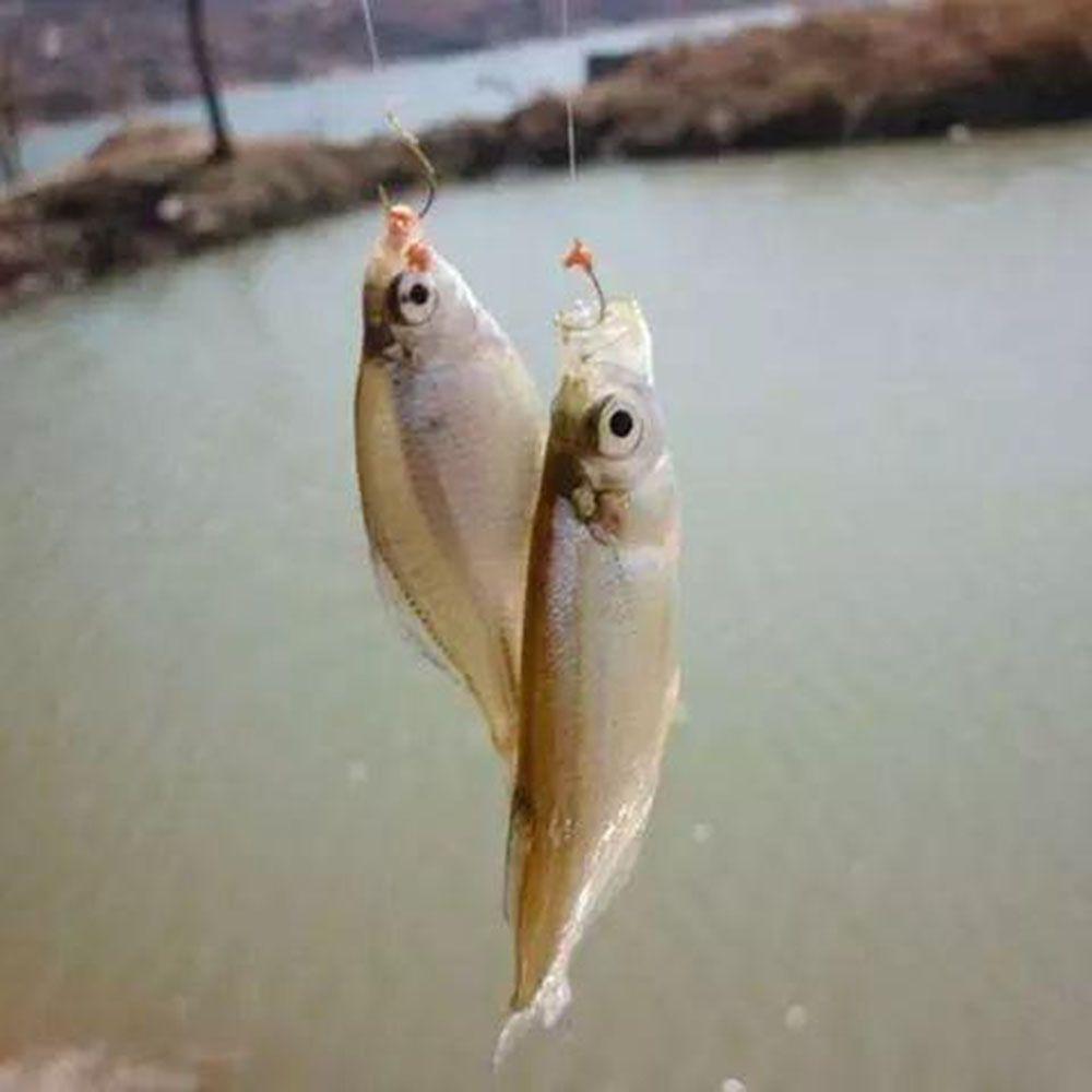 Outdoor Tool Fishing Wild Survival Fishing Survival Tool Fishing Gadget Kit Fishing Accessories