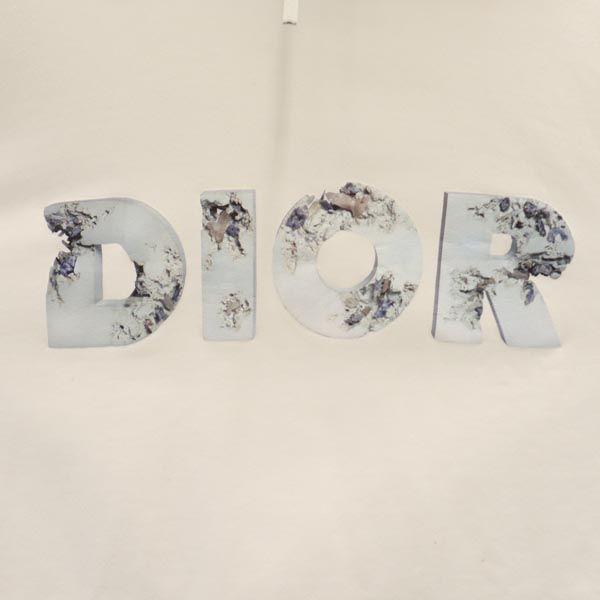 Dior Imprimeu Hanorac cu mânecă lungă L alb Pulover cu spate periat Femei Folosit