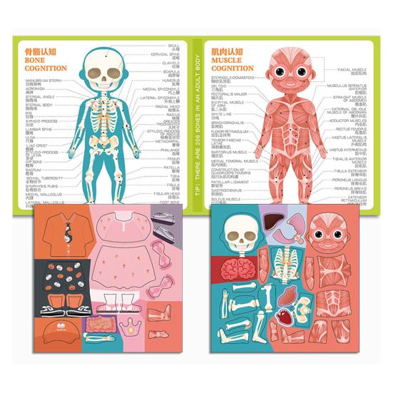 Magnetic Body Structure Puzzle Book Wooden Preschool Body Parts Learning Puzzle Book Parent-child Interactive Educational Human Anatomy Book
