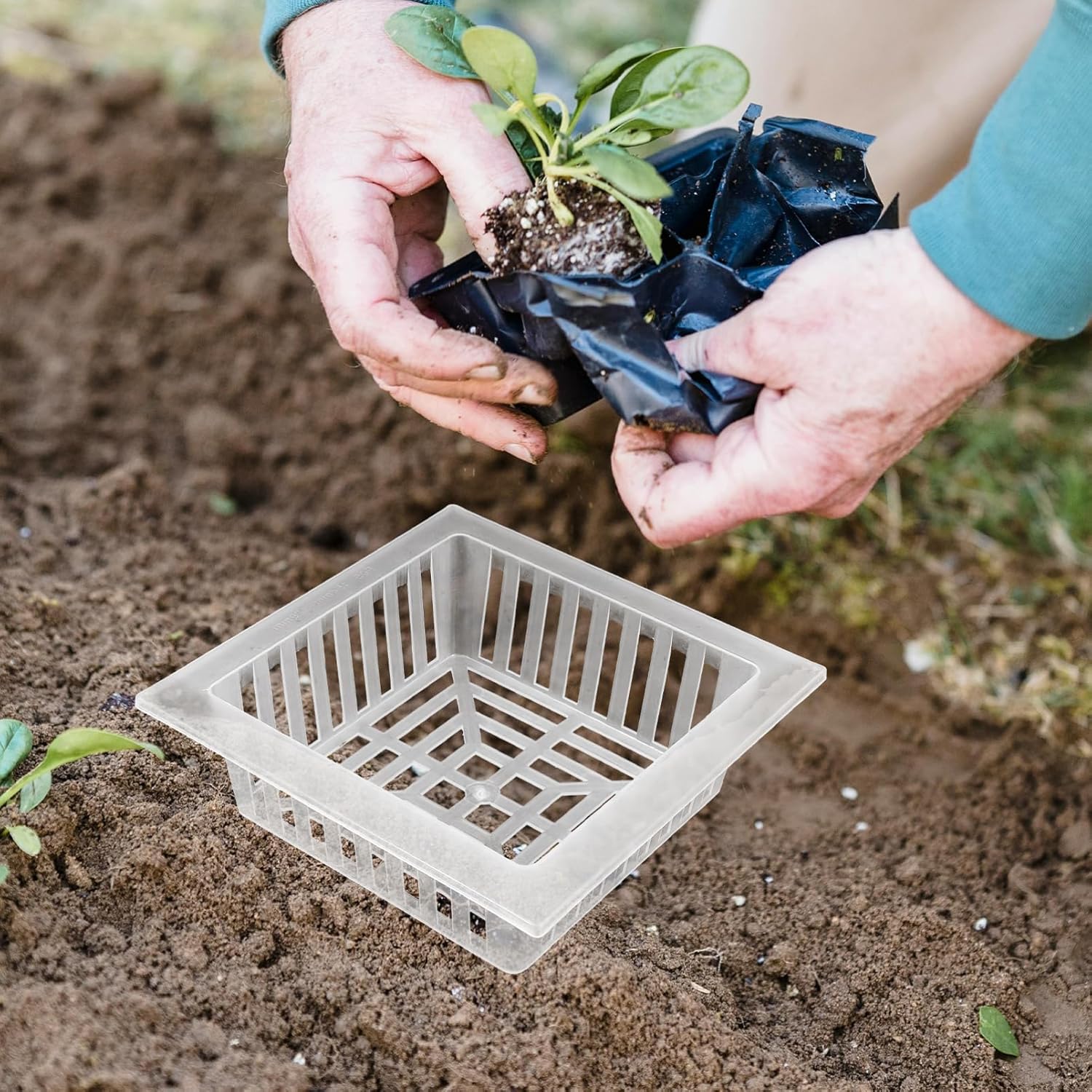 

Happyyami 10 шт. Квадратные гидропонные сетчатые горшки с дренажными отверстиями для домашнего садоводства Идеально подходят для овощей и цветов 6.10 X 6.10 X 1.88 дюйма