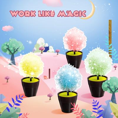 Crystal Planting Growth Gypsum DIY Set
