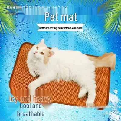 Pet Cooling Mat: Summer Bed for Cats and Dogs - Four Seasons Universal Ice Pad