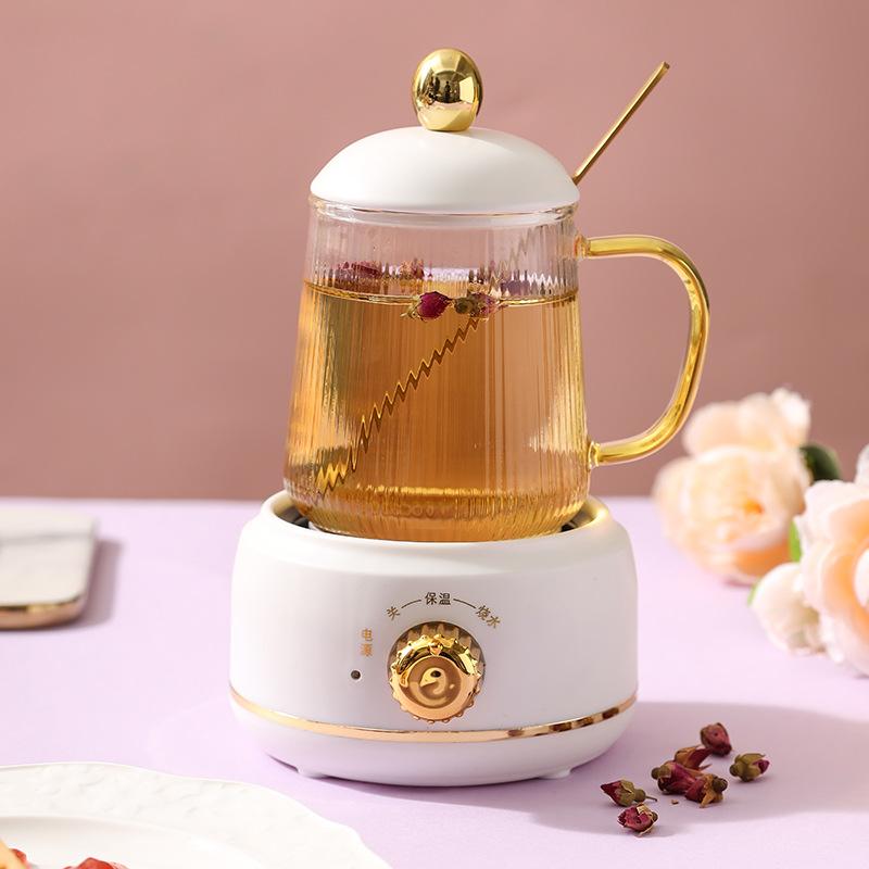 0.4-0.6L Health Pot, Office Small Tea Maker, Household Mini Health Cup, Tea Stove, Flower Boiling Tea Pot 220V