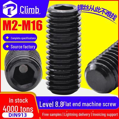 8.8 Grade Hex Socket Headless Positioning Set Screw (M3 M4 M5 M6)