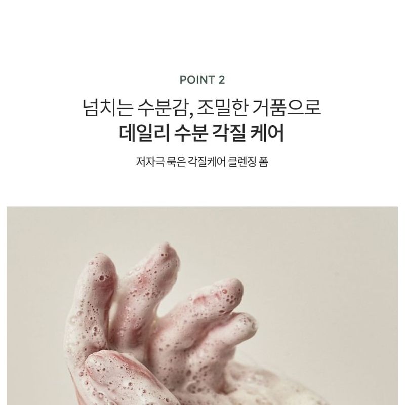 Anua Heartleaf Succinic Moisture Cleansing Foam