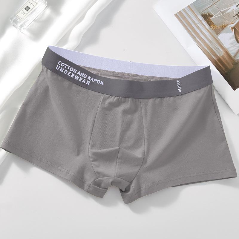 Men's Spring and Summer Thin and Trendy Pure Cotton Antibacterial Briefs