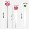 Lifelike Simulated Lotus EVA Decorative Fake Flower Fake Lotus Seedpod  Pastoral Decorative
