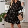 Women's Fashion Spring Fall Polka Dot Print Long Sleeve V-Neck Loose Waistline Casual Dresses