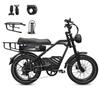 AVDL T3 Electric Cargo Bike, 48V 18Ah Removable Battery, Dual Shock Absorber & Hydraulic Disc Brakes