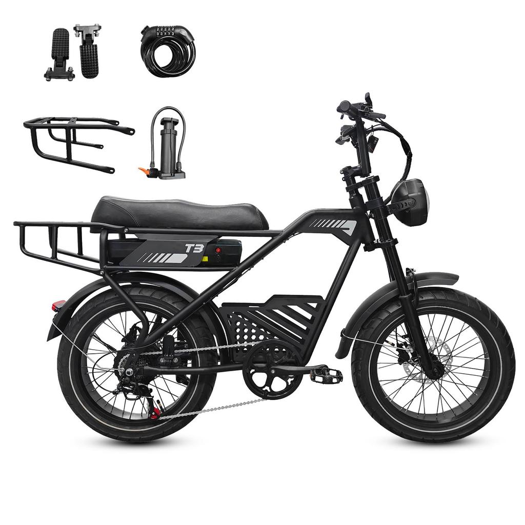 AVDL T3 Electric Cargo Bike, 48V 18Ah Removable Battery, Dual Shock Absorber & Hydraulic Disc Brakes