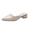 Half slippers women's 2025 summer new pointed middle heel women slippers Korean version outside wearing muller shoes