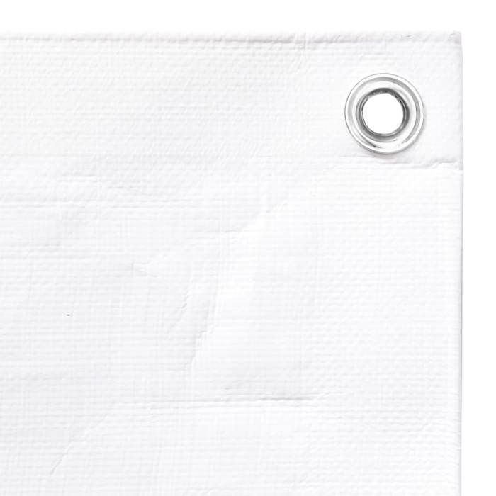 Maison Exclusive - Bâche 260 g/m² 8x10 m Blanc PEHD