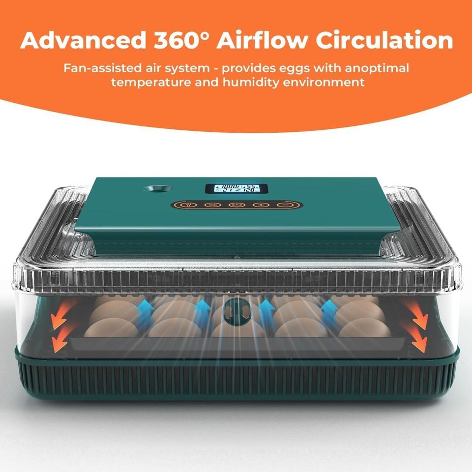 25 Egg Digital Incubator Fully Automatic Hatching Machine Automatic Water Supply