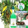 Pflanzen Wurzelwachstum Phytosomatin Bio-Pflanzenbaum Wurzelstimulator für Gartenpflanzen Wachstum Verwendung