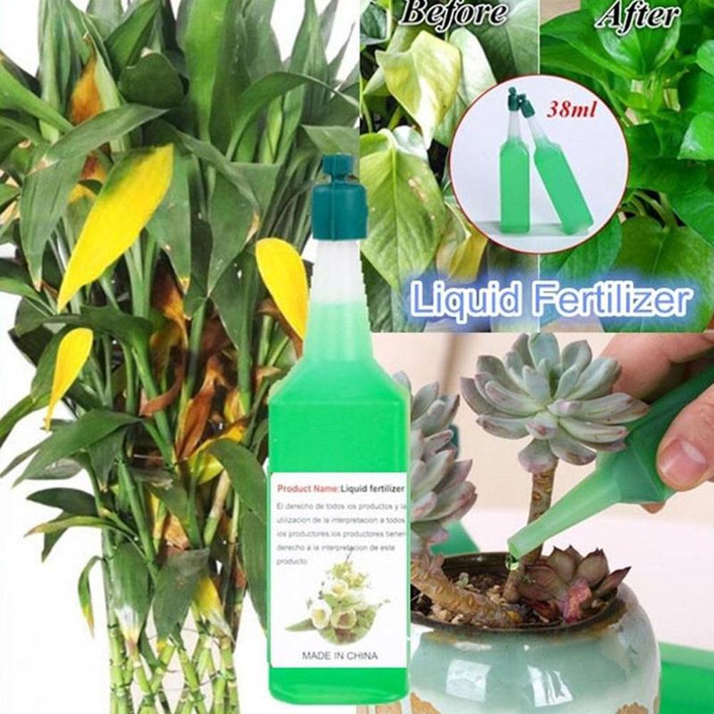 Pflanzen Wurzelwachstum Phytosomatin Bio-Pflanzenbaum Wurzelstimulator für Gartenpflanzen Wachstum Verwendung