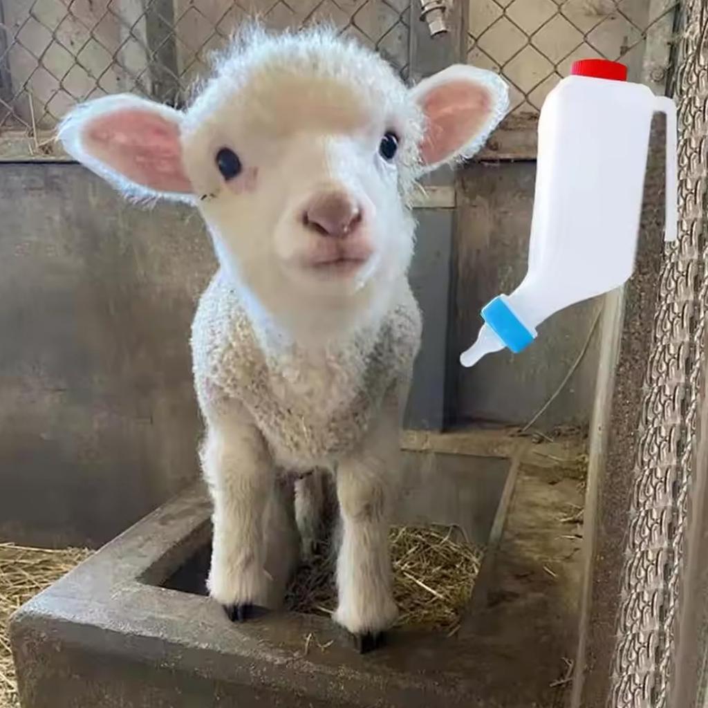 Baby Bottles, 800ml Lamb Baby Bottle With Scale Hanging Plastic Milk Feeder Bottle Little Calf Sheep Bottle With Handle