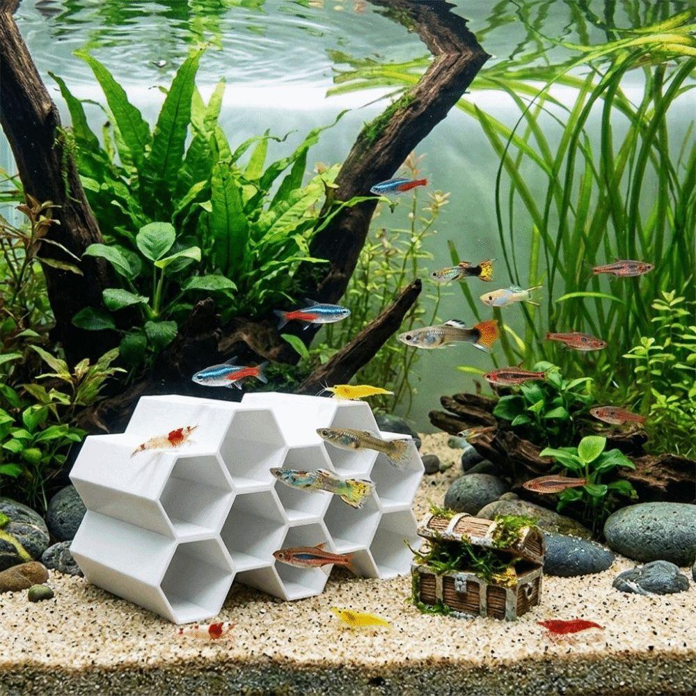 Plastic Fish Shrimp Hideout Hollow Out Shrimp Shelter Decorations Aquarium Decoration