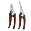 Stainless Steel Pruning Shears for Thick Branches and Fruit Picking