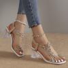Transparent Thick Heeled Sandals From Europe and America 2024 Summer New Fashion Simple Design Sense Daily Women's High Heels