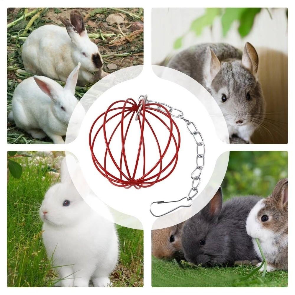 Round Rabbit Grass Feeder Wear-resistant Hay Feeder Ball Suspending Feeder For Small Pets